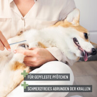 REAVET Krallenschere S-XL mit Safe Cut & Krallenfeile - Für Hunde & Katzen