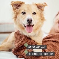 REAVET Fellpflege Profi-Set für Hunde & Katzen - 6-teilig & mobil