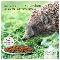 Spezialfutter für Igel 1kg - Getreidefrei, Mit Insektenprotein