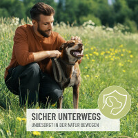 REAVET Zeckenspray für Hunde – Effektiver Schutz vor Parasiten, 500ml