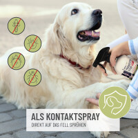 Parasiten Stop AKUT Spray 500ml - Effektiver Schutz für Hunde