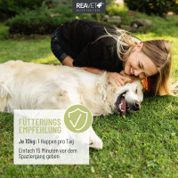 REAVET Vital Soft Happen Z-Blocker für Hunde 100g