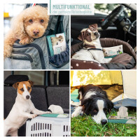 REAVET Premium Pflegetücher mit Aloe Vera | 12x20 Stück für Hunde & Katzen