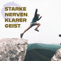 Nerven Kraft – Ergänzung für mentale Balance und Vitalität180 Kapseln