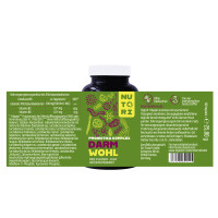 Second Darm Wohl – Mit Inulin und Zink