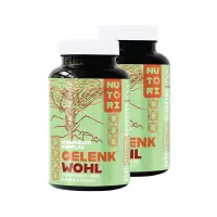 Gelenk Wohl + Abwehr Hilfe – Mit Vitamin C & Zink zur Unterstützung des Immunsystems 180 Kapslen