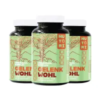 Gelenk Wohl + Abwehr Hilfe – Mit Vitamin C & Zink 