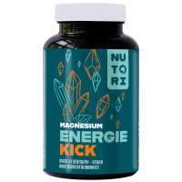 Energie Kick Magnesiumcitrat – Für mehr Energie, Muskeln und mentale Balance 120 Kapseln