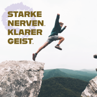 Nerven Kraft – Ergänzung für mentale Balance und Vitalität 270 Kapseln