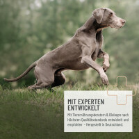 Heilmoor für Hunde 2 x 1,3kg 4