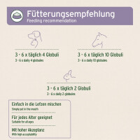 AniForte Bachblüten Protest 15 g