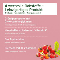 AniForte 4in1 Complete Dog 250 g