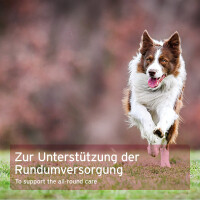 AniForte 4in1 Complete Dog 250 g