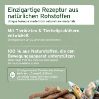 AniForte AgilityVET Gelenktabletten 120 Stk. 5