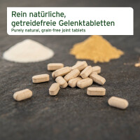 AniForte AgilityVET Gelenktabletten 300 Stk. 3