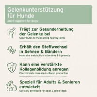 AniForte AgilityVET Gelenktabletten 300 Stk. 4