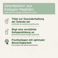 AniForte Kollagen Pulver - ehemals CollaMove dog 250 g
