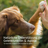 AniForte Kollagen Pulver - ehemals CollaMove dog 250 g