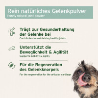 AniForte Grünlippmuschel Pulver 1 kg