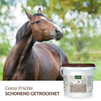 AniForte Bio Hagebutten - Ganze Früchte 1 kg 3