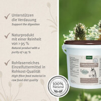 AniForte Indische Flohsamen 3 kg
