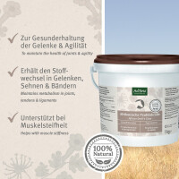AniForte Afrikanische Teufelskralle 1 kg