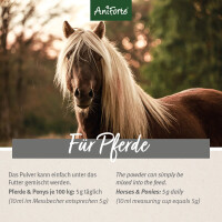 AniForte Afrikanische Teufelskralle 1 kg