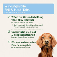 AniForte Plus Fell & Haut für Hunde – Nä