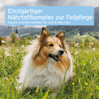 AniForte Plus Fell & Haut für Hunde – Nä