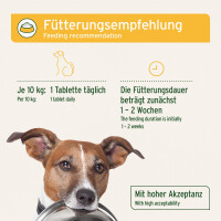 AniForte Plus Magen-Darm für Hunde – Natürli