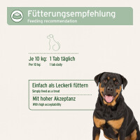 AniForte AgilityVET Gelenktabletten | versch. Größen