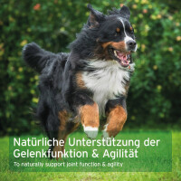 AniForte AgilityVET Gelenktabletten | versch. Größen