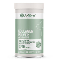 AniForte Kollagen Pulver - ehemals CollaMove