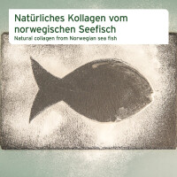 AniForte Kollagen Pulver - ehemals CollaMove dog | versch. Größen