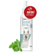 REAVET Denta Vital Spray für Hunde