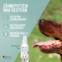 Second REAVET Denta Vital Spray für Hunde