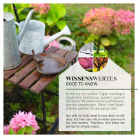 Vogeltränke Herzform 6