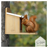 Eichhörnchen-Futterhaus XL mit Metalldach 3