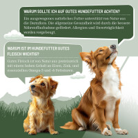 Hundenassfutter - Huhn mit Kartoffeln an Möhren & r