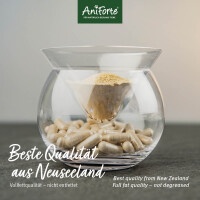 Second AniForte Grünlippmuschel Kapseln |