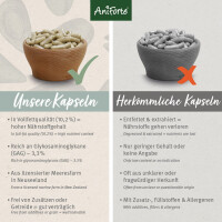 AniForte Grünlippmuschel Kapseln | versch. Größen 4