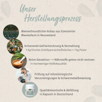 AniForte Grünlippmuschel Kapseln | versch. Größen 6