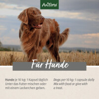 AniForte Grünlippmuschel Kapseln | versch. Größen 7