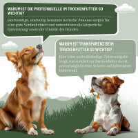 Hundetrockenfutter Hypoconcept Adult – Mit frischem Hu