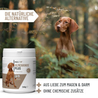 ReaVet Ulmenrinde Plus 240g 4