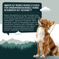 ReaVet Hundenassfutter - Wildschwein Pur | 6 x 400g 5