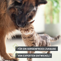 ReaVET Giardien Stop Spray 500ml 6