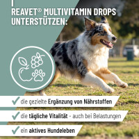 ReaVET Multivitamin Drops 350g ( gallery 7_2nd