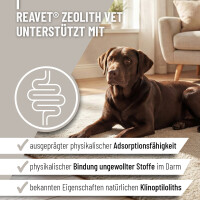 ReaVET Zeolith VET – Natur gallery 17_2nd