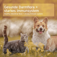 AniForte Naturmoor – Naturbelassenes Heilmoor für